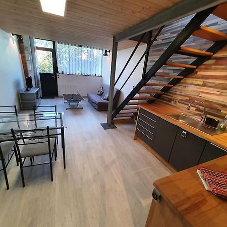 לה רושל Appartement Centre Ville Au Calme Jardin Et Parking Public מראה חיצוני תמונה